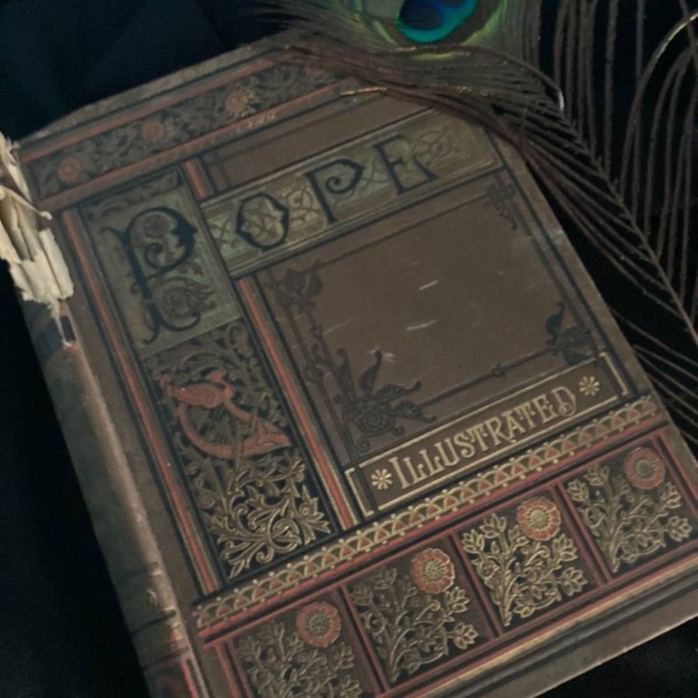 POPE .. illustrated ..The Poetical Works of Alexander Pope,EsQ.